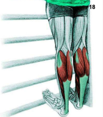 Screen Shot 2016-03-21 at 10.02.50 AM.png