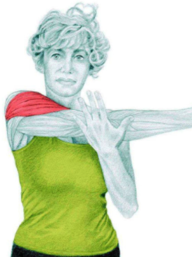 Screen Shot 2016-03-21 at 9.58.06 AM.png