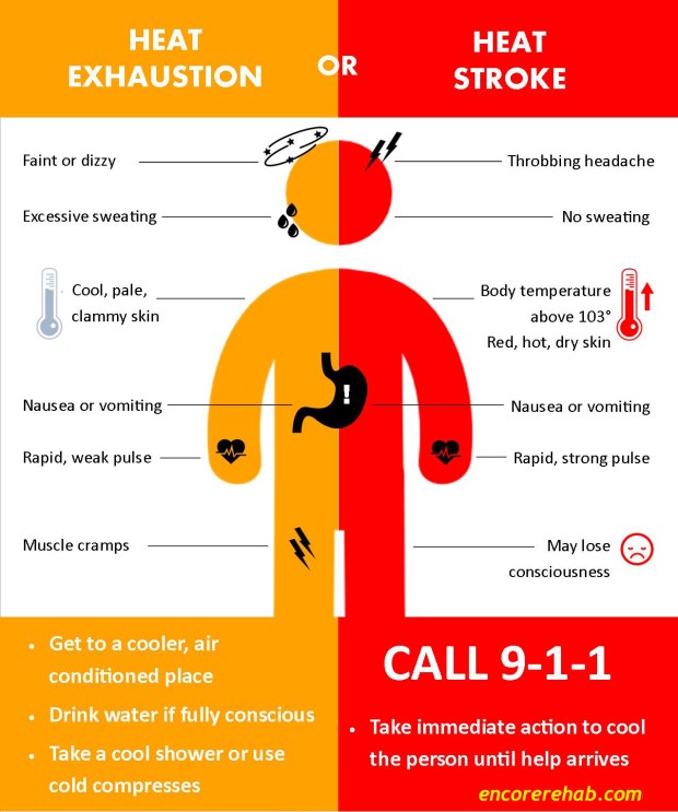Heat Exhaustion or Heat Stroke infographic #EncoreRehab