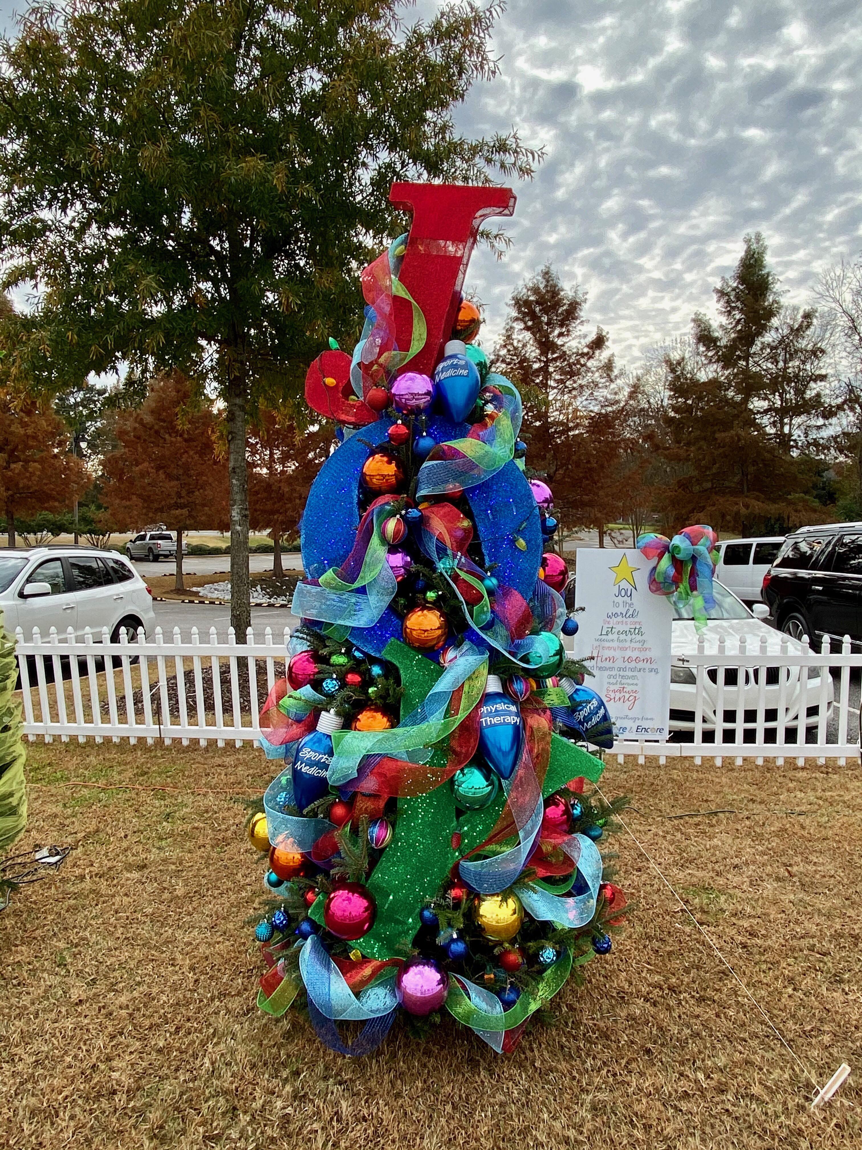 DCH Encore and Encore Rehabilitation Christmas Tree on the TTown Tinsel Trail, Dec 2019